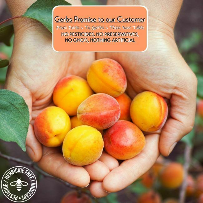 Apricots - No Added Sugar Preservative free all natural ingredients