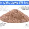 BROWN TEFF FLOUR Free from Top 14 Food Allergens