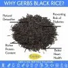 Canadian Black Wild Rice Health Benefits
