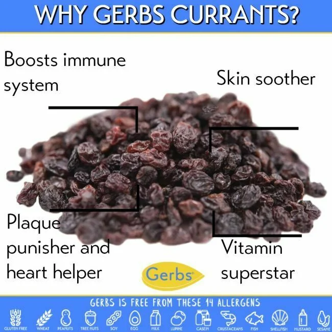 Currants (Zante Variety) - No Added Sugar Health Benefits