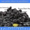Dried Cape Cod Blueberries Health Benefits