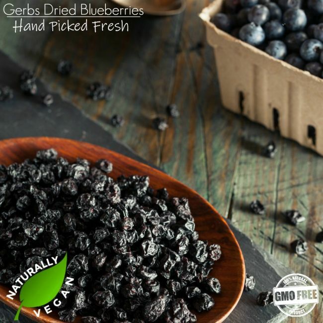 Dried Cape Cod Blueberries Naturally Vegan