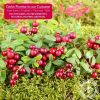 Dried Cape Cod Cranberries Preservative free all natural ingredients
