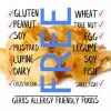 Dried Pineapple Chunks No Added Sugar Free from Top 14 Food Allergens