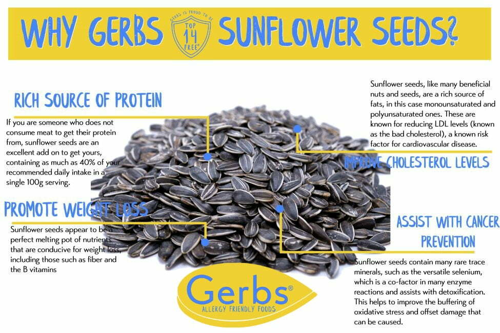 Jumbo Lightly Sea Salted Sunflower Seeds - InShell Health Benefits
