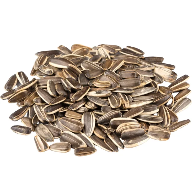 Jumbo Lightly Sea Salted Sunflower Seeds - InShell