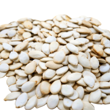 Jumbo Unsalted Roasted Whole Pumpkin Seeds - In Shell Pepitas