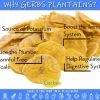 Lightly Salted Plantain Chips Health Benefits