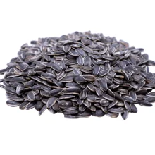 Lightly Sea Salted Dry Roasted In Shell Sunflower Seeds