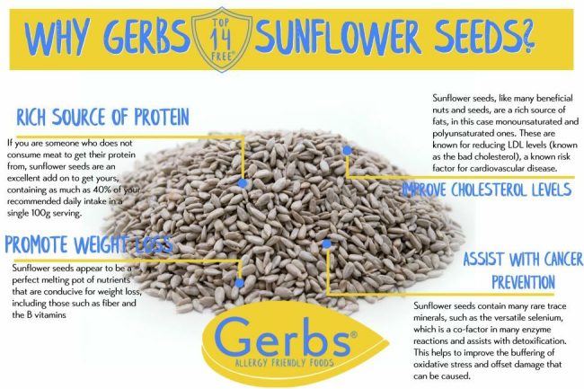 Lightly Sea Salted Dry Roasted Sunflower Seed Kernels Health Benefits