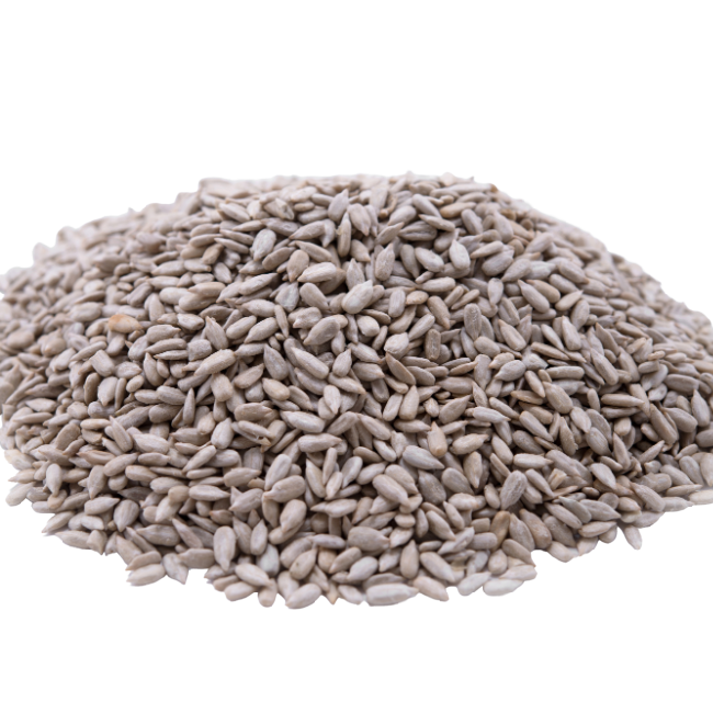 24 LB Case Pack of Lightly Sea Salted Dry Roasted Sunflower Seed