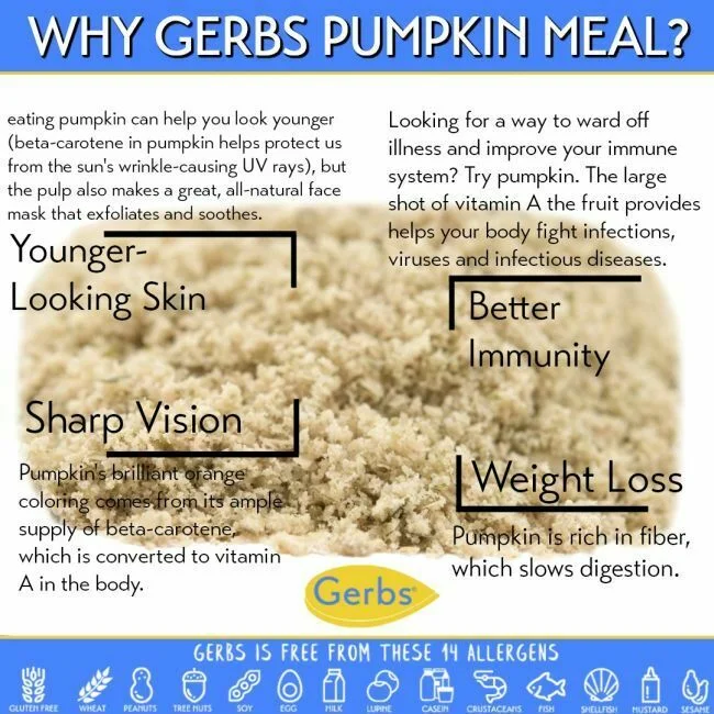 Pumpkin Seed Meal - Full Oil Content Protein Powder Health Benefits