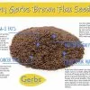 Raw Brown Flax Seeds Health Benefits