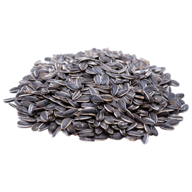Raw In Shell Sunflower Seeds