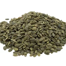 Raw Pumpkin Seed Kernels - Out of Shell Pepitas