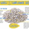 Raw Shelled Sunflower Seed Kernels Health Benefits
