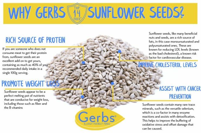 Raw Shelled Sunflower Seed Kernels Health Benefits