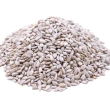 Raw Shelled Sunflower Seed Kernels