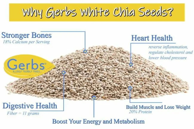 Raw White Chia Seeds - Dried Low Moisture Health Benefits