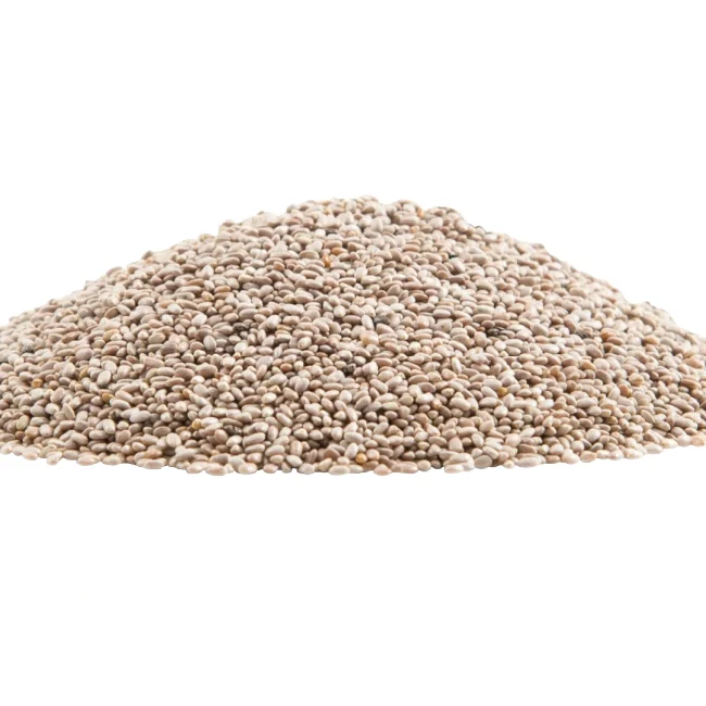 Raw White Chia Seeds - Dried Low Moisture
