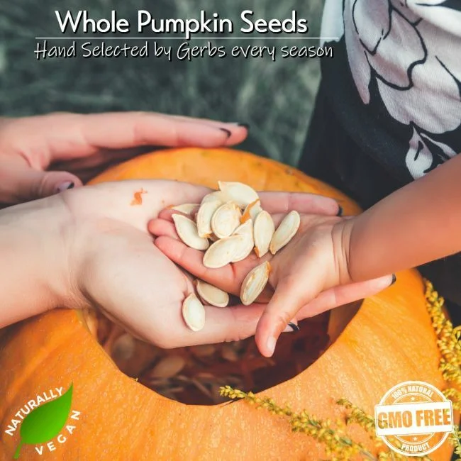 Jumbo Lightly Sea Salted Roasted Whole Pumpkin Seeds - In Shell Pepitas Naturally Vegan