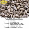 Sea Salted Dry Roasted Sunflower Seed Kernels Fresh Quality Foods
