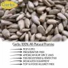 Sea Salted Dry Roasted Sunflower Seed Kernels Fresh Quality Foods