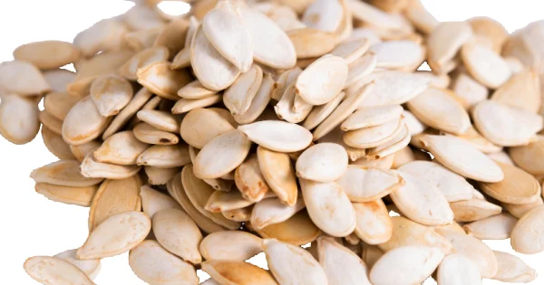 Sea Salted Roasted Whole Pumpkin Seeds - In Shell Pepitas