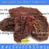Sun Dried Tomatoes Health Benefits