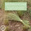 Teff Preservative free all natural ingredients