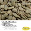 Toasted Onion & Garlic Dry Roasted Pumpkin Seed Kernels - Shelled Pepitas Fresh Quality Foods