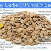 Toasted Onion & Garlic Dry Roasted Whole Pumpkin Seeds - In Shell Pepitas Health Benefits
