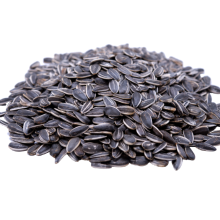 Unsalted Dry Roasted In Shell Sunflower Seeds