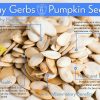 Unsalted Roasted Whole Pumpkin Seeds - In Shell Pepitas Health Benefits
