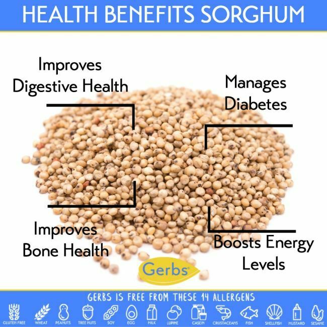 White Sorghum Health Benefits