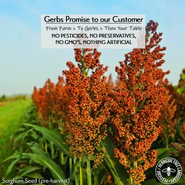 White Sorghum Preservative free all natural ingredients