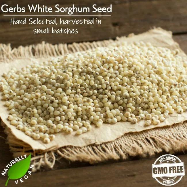 White Sorghum Naturally Vegan