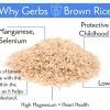 Whole Grain Brown Rice Health Benefits