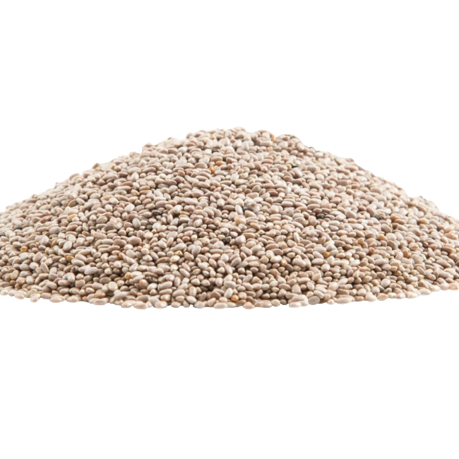 30 lb Bulk White Chia