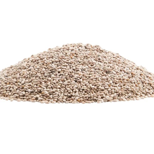 Raw White Chia Seeds