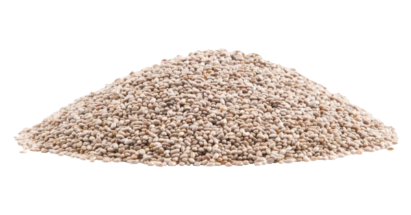 paraguay chia seeds, paraguay chia seeds Suppliers and Manufacturers at