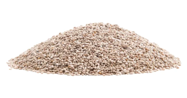 Raw White Chia Seeds