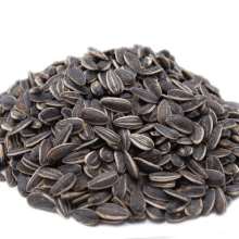 Toasted Onion & Garlic Dry Roasted Seasoned Sunflower Seeds - In Shell Whole