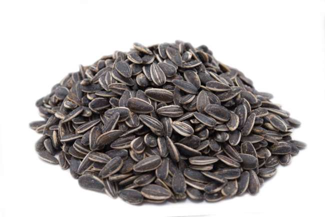 Toasted Onion & Garlic Dry Roasted Seasoned Sunflower Seeds - In Shell Whole