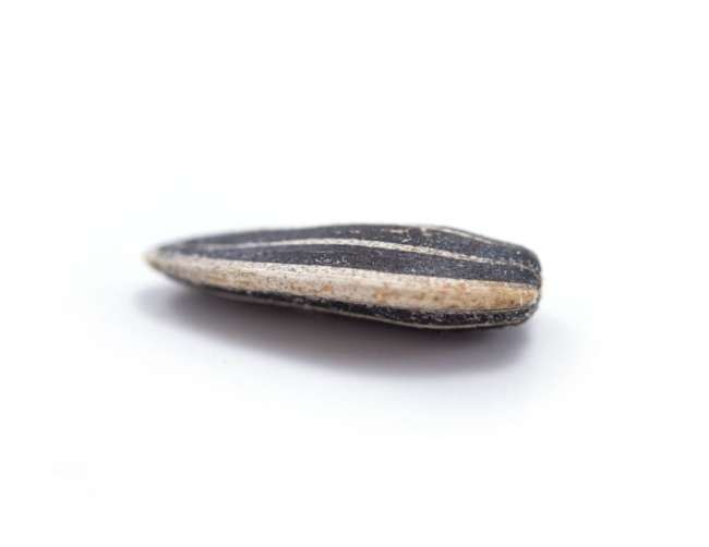 Toasted Onion & Garlic Dry Roasted Seasoned Sunflower Seeds - In Shell Whole Close up