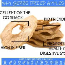 Dried Premium Grade New England Apple Slices, No added Sugar, Resealable Bag Health Benefits
