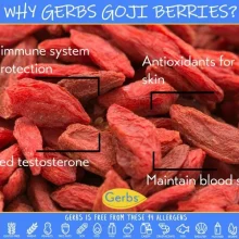 Dried Premium Grade Goji Berries, aka Wolfberry, Resealable Bag Health Benefits