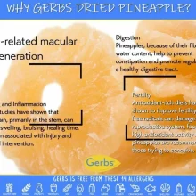 Dried Premium Grade Thailand Pineapple Chunks, No Added Sugar, Resealable Bag Health Benefits