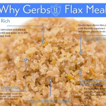 Ground Flax Seed Meal (Full Oil Content Protein Powder) Health Benefits