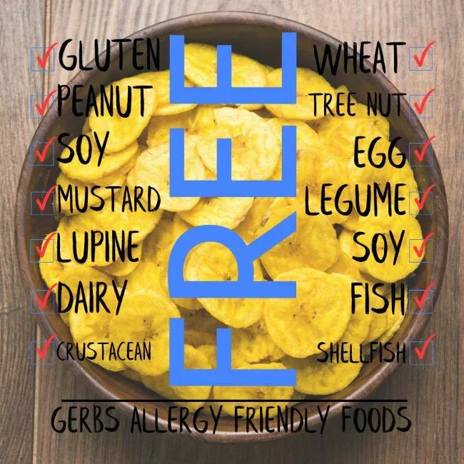 Lightly Sea Salted Premium USA Grade Plantain Chips, Resealable Bag Free from Top 14 Food Allergens